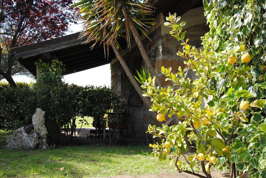Tenuta Di Pontesodo Montalto di Castro Eksteriør bilde